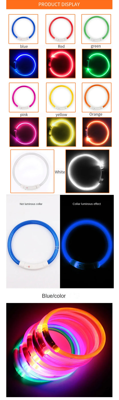 LED USB Dog Collar for Night Safety and Visibility - Smarsty