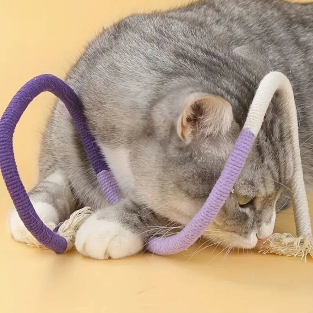 Cotton Cat Chew Toy for Teeth Cleaning - Smarsty