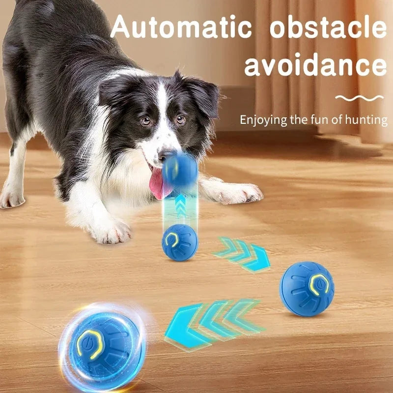 Interactive Smart Dog Toy Ball for Active Play - Smarsty