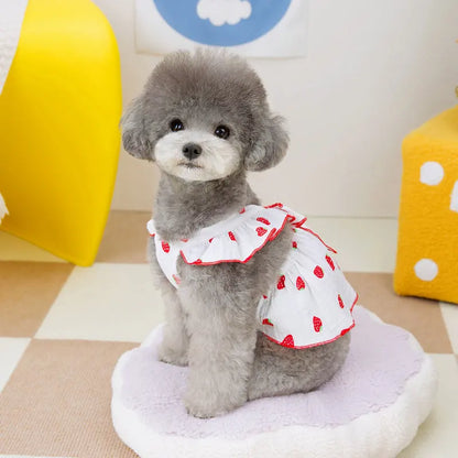 Luxury Dog Strawberry Dress for Summer Style - Smarsty