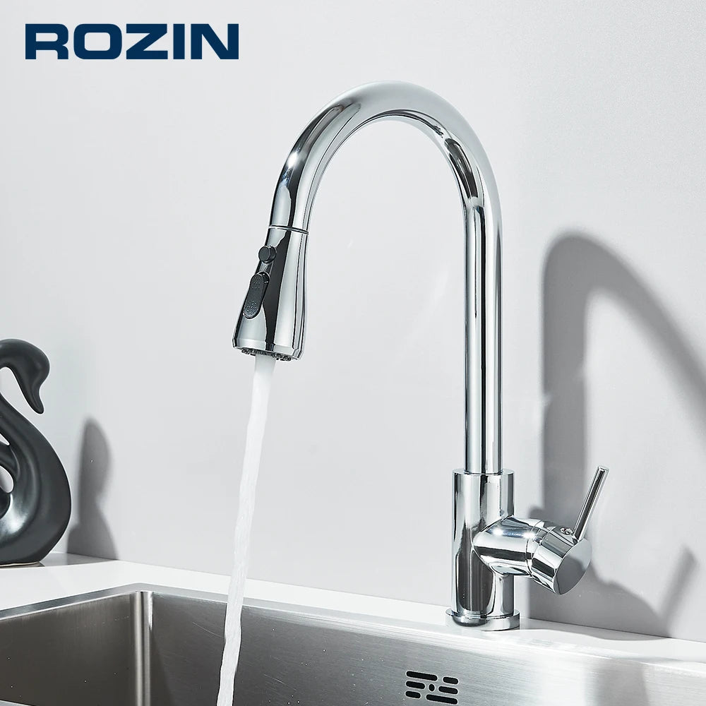 Rozin Chrome Kitchen Faucet with Pull Out Sprayer - Smarsty