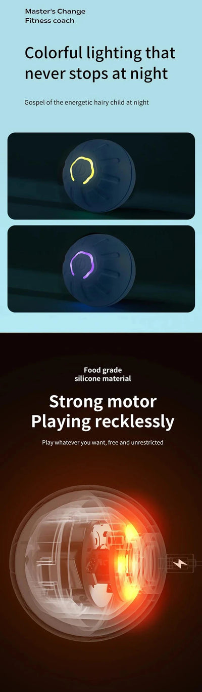 Interactive Smart Dog Toy Ball For Active Play - Smarsty