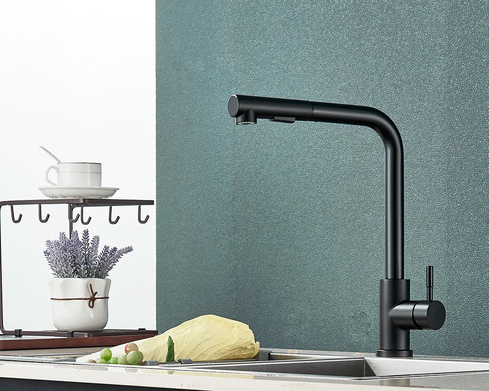 Black Stainless Steel Pull Out Kitchen Faucet with Free Shipping - Smarsty
