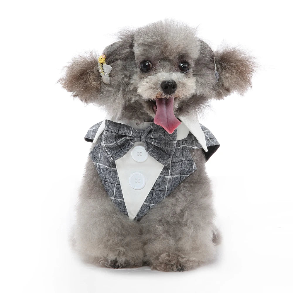Formal Tuxedo Dog Costume for Weddings and Events - Smarsty