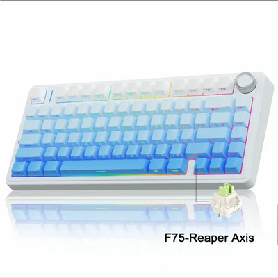 Wireless Mechanical Keyboard 75 Layout RGB Gasket Structure - Smarsty