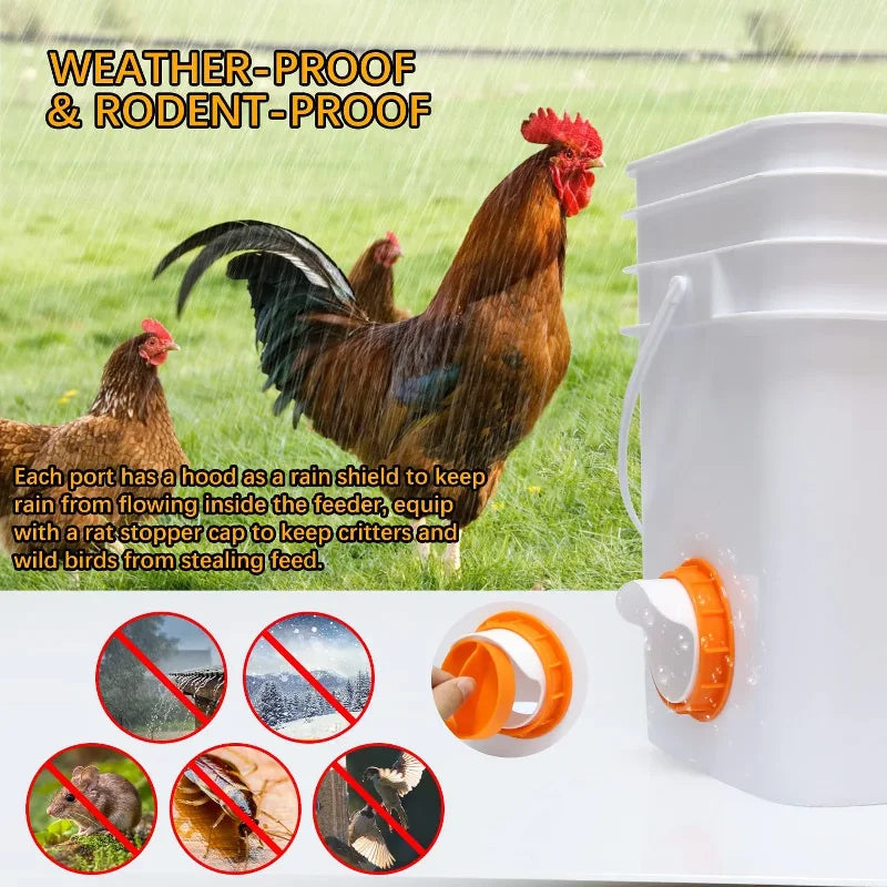 Rainproof Automatic Chicken Feeder for Easy Self Feeding - Smarsty
