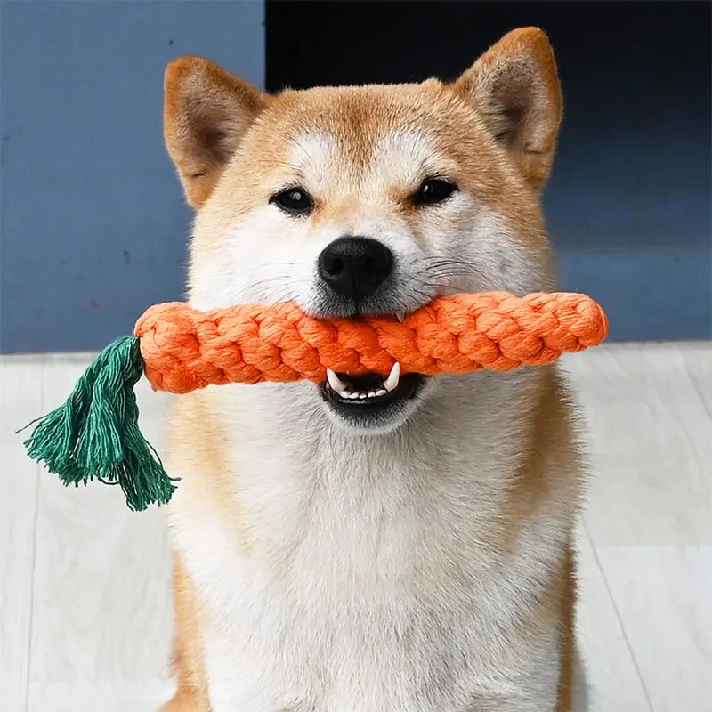 Durable Cartoon Dog Chew Toys for Healthy Teeth - Smarsty
