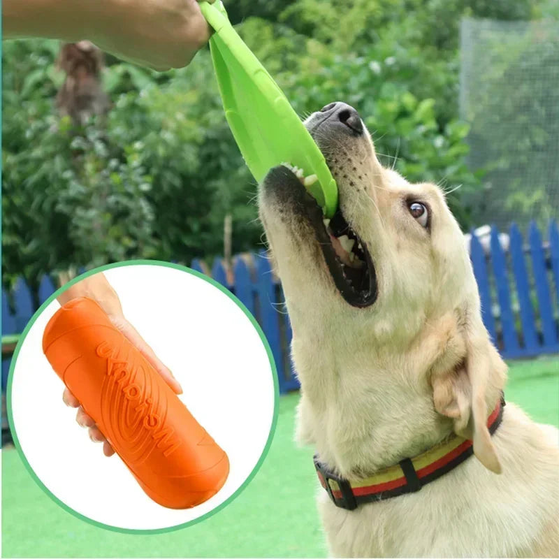 Multicolor Silicone Dog Frisbee Toy for Interactive Fun - Smarsty