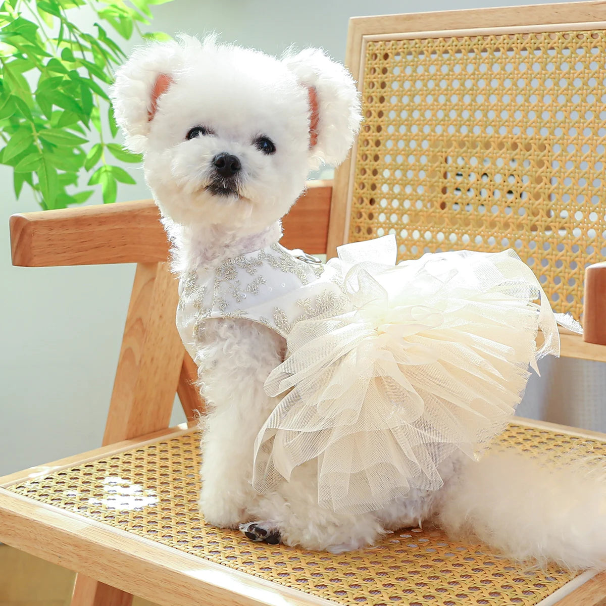 Breathable White Wedding Dress for Small Dogs - Smarsty