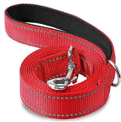 Reflective Dog Harness Leash for Safe Night Walks - Smarsty
