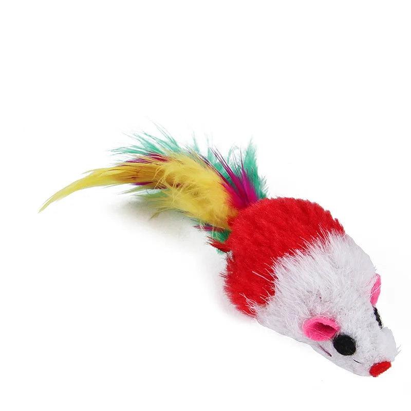 Kitten Toys Variety Pack for Fun and Play - Smarsty