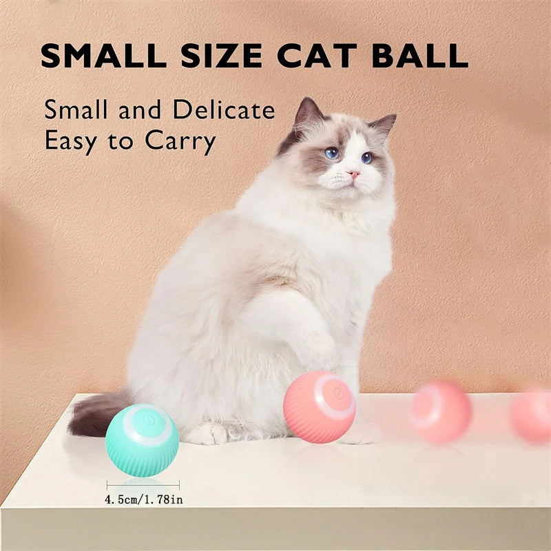 Interactive Smart Dog Toy Ball For Active Play - Smarsty