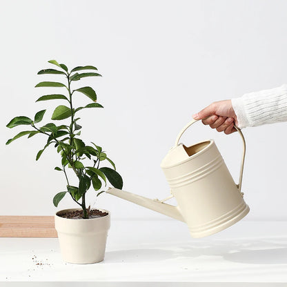 2L Long Mouth Watering Can for Easy Plant Care - Smarsty