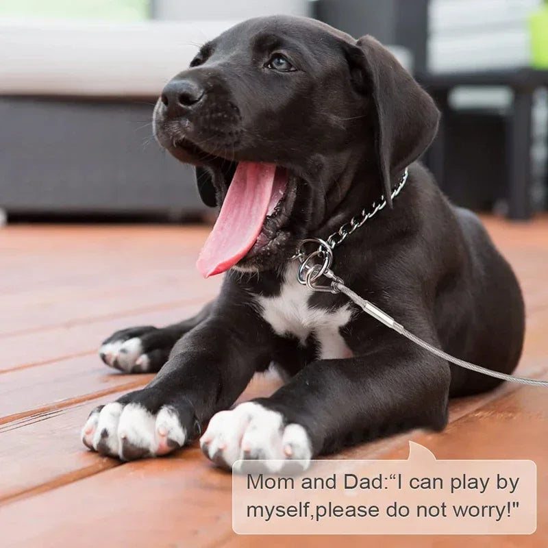 Double-Headed Dog Tie Out Cable Leash with Metal Buckle - Smarsty