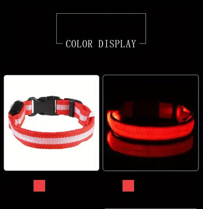 Nylon LED Dog Leash for Night Safety - Smarsty