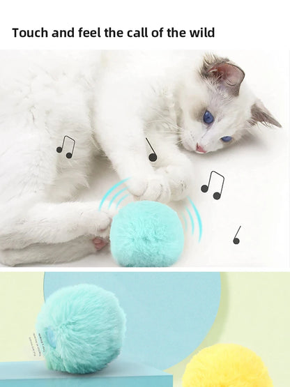 Interactive Cat Toy Ball with Sound and Catnip - Smarsty