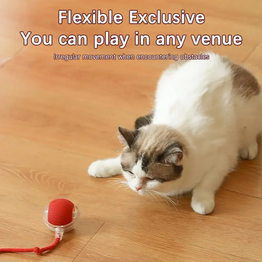 Interactive Electric Cat Toy Ball for Engaging Play - Smarsty