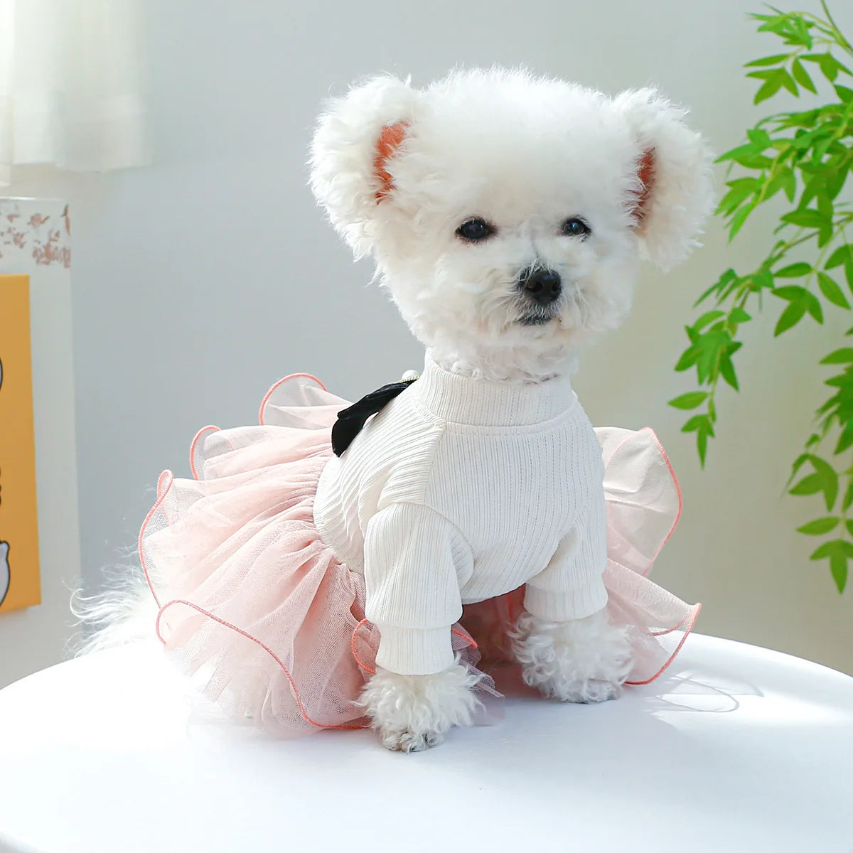Spring Summer Tutu Dress for Dogs and Cats - Smarsty