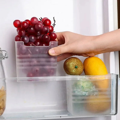 1/5PCS Refrigerator Storage Boxes Food Fresh Organizer Cold Storage Crisper Fruit Spice Food Container Boxes Home Kitchen Boxes by Smarsty