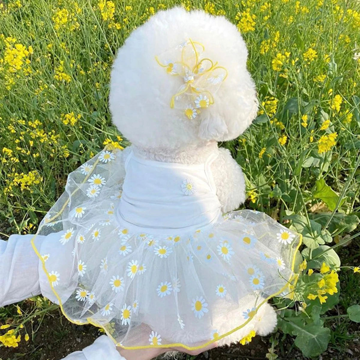 Thin Puppy Princess Skirt for Small Dogs - Smarsty