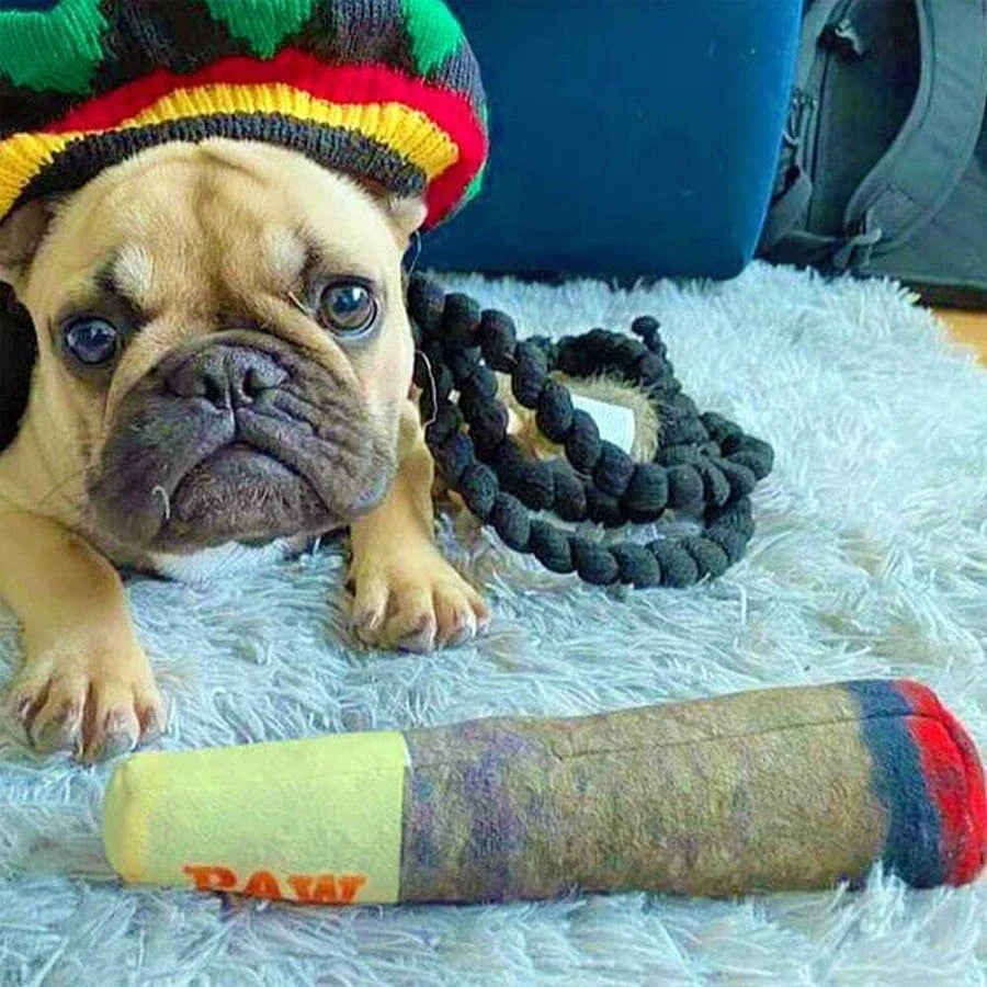 Funny Interactive Cigar Plush Squeaky Dog Toy - Smarsty