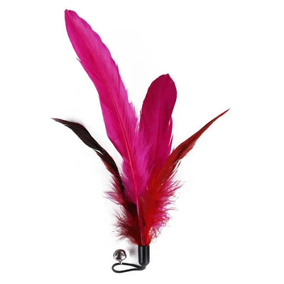 11pcs Replacement Cat Feather Toy Set Feather Replacement Head Retractable Cat Stick Cat Products - Smarsty