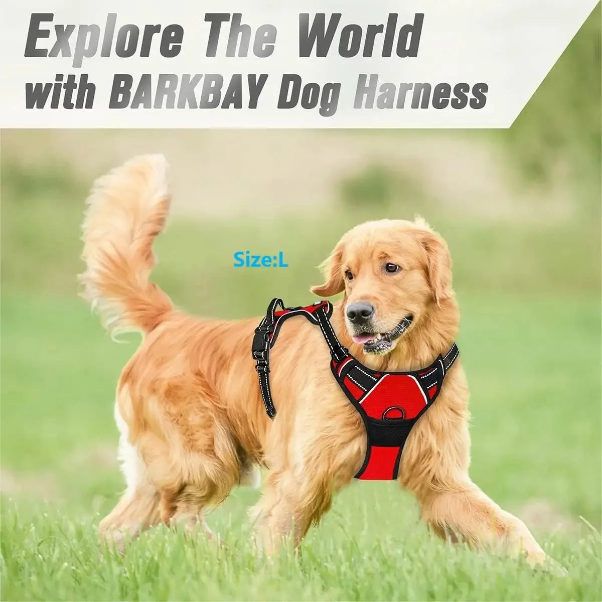 Personalized Leather Dog Harness and Collar Set - Smarsty