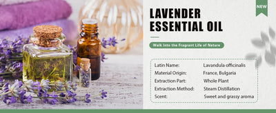 PHATOIL 100ml Essential Oil Set for Aromatherapy Diffusers - Smarsty