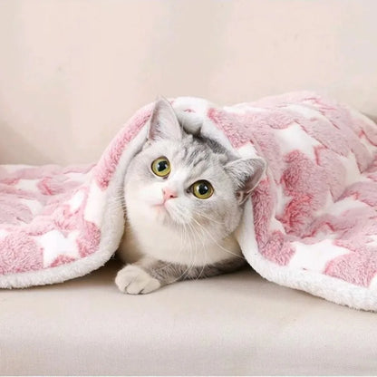 Thickened Flannel Dog Bed Mat for Comfort - Smarsty