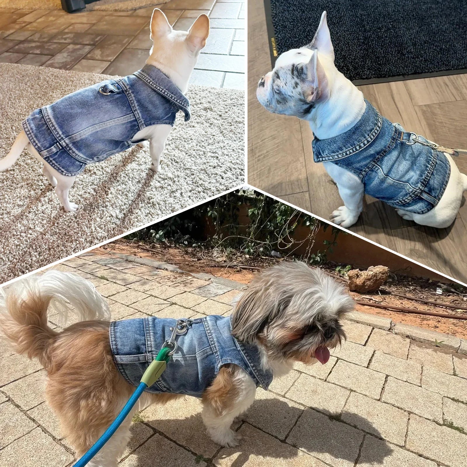 Dog Jeans Jacket for Small Dogs and Cats - Smarsty