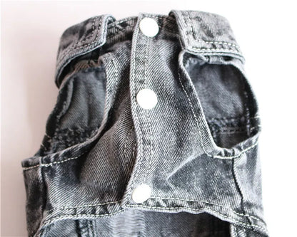 Cool Dog Jeans Jacket for Small Dogs Fashionable Style - Smarsty