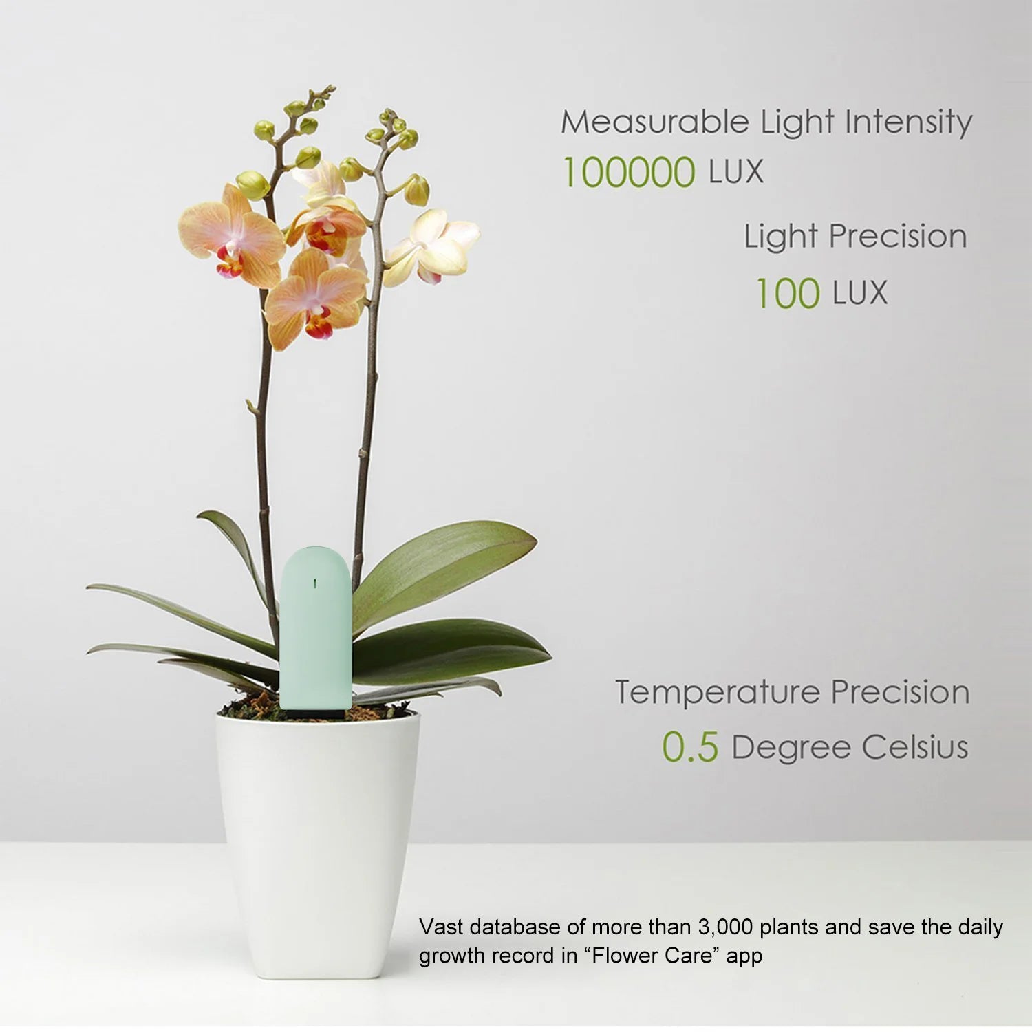 Smart Soil Water Tester for Healthy Plants - Smarsty