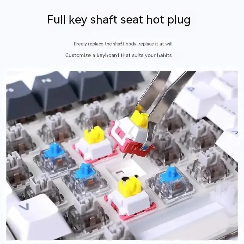 87 Key Mechanical Keyboard Tri Mode Wireless RGB Gasket