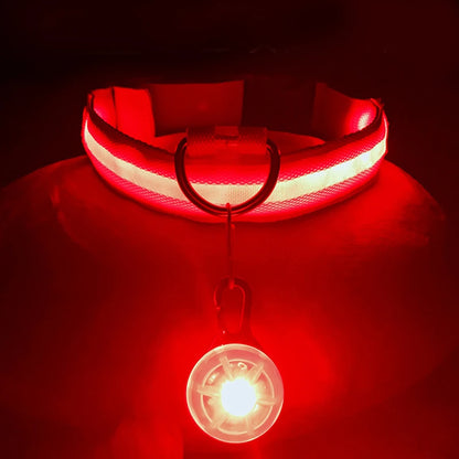USB Charging Bright LED Dog Collar for Night Safety - Smarsty