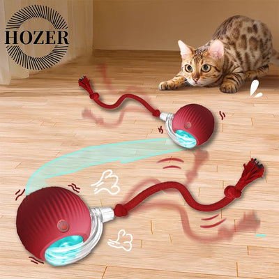 Rechargeable Cat Interactive Ball Toy With Faux Tail - Smarsty