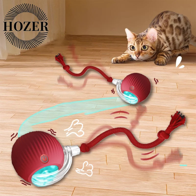 Rechargeable Cat Interactive Ball Toy With Faux Tail - Smarsty