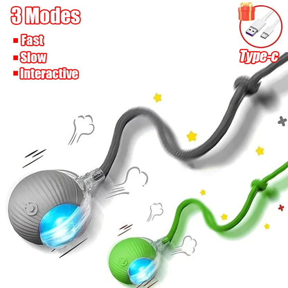 Interactive Rechargeable Cat Toy Ball With Faux Tail - Smarsty
