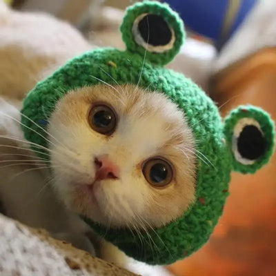 Cute Frog Cat Hat with Bunny Ears for Fun Costumes - Smarsty