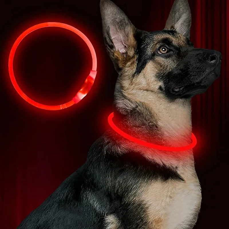 LED USB Dog Collar for Night Safety and Visibility - Smarsty