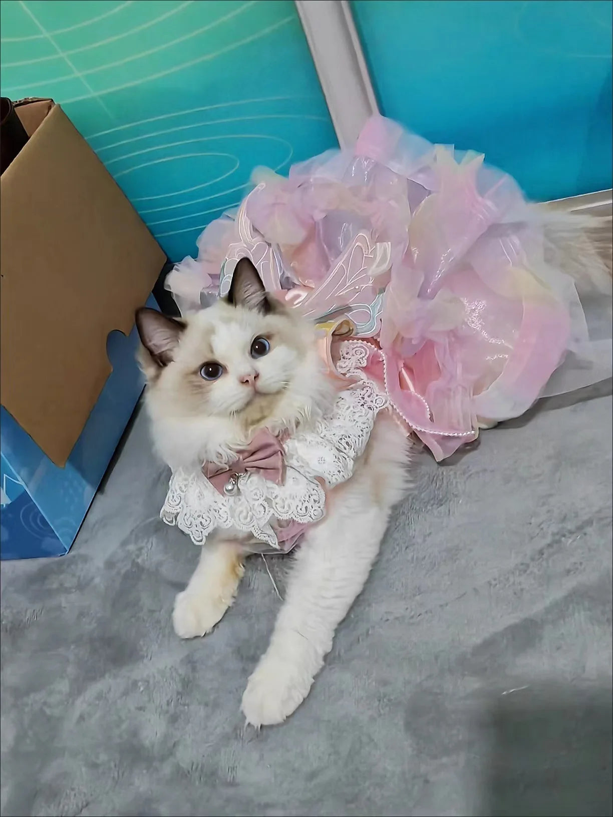 Princess Style Lace Skirt Dog Cat Dress - Smarsty