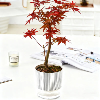 Self-watering Flower Pot Lazy Automatic Hydroponics Plants Pot Cotton Rope Watering Succulent Potted Planters Home Office Decor