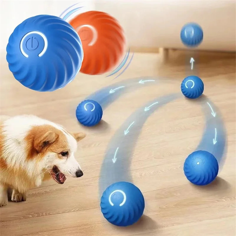 Interactive Smart Dog Toy Ball For Active Play - Smarsty