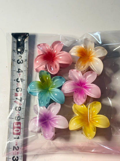 Gradient Flower Hair Clips Set for Beach Styles - Smarsty