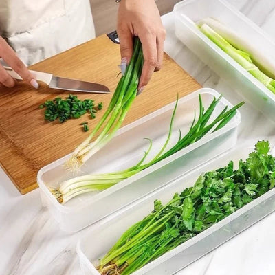 1/2/4Pcs Refrigerator Storage Boxes With Lid Plastic Fresh Keeping Box Kitchen Scallions Cilantro Eggs Noodles Sealed Container by Smarsty
