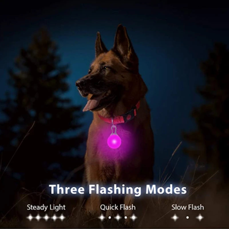 USB Charging Bright LED Dog Collar for Night Safety - Smarsty