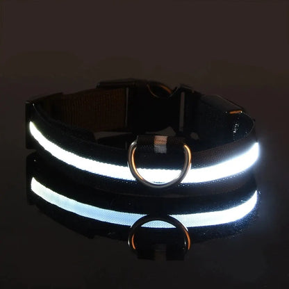 Nylon LED Glow In The Dark Dog Leash - Smarsty