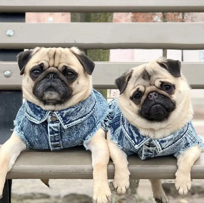 Denim Dog Jacket with Stylish Holes for All Seasons - Smarsty