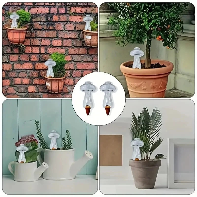 Automatic Love Shaped Plant Waterer for Easy Irrigation - Smarsty