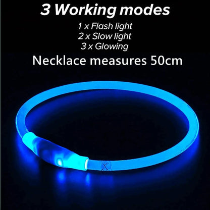 LED USB Dog Collar for Night Safety and Visibility - Smarsty