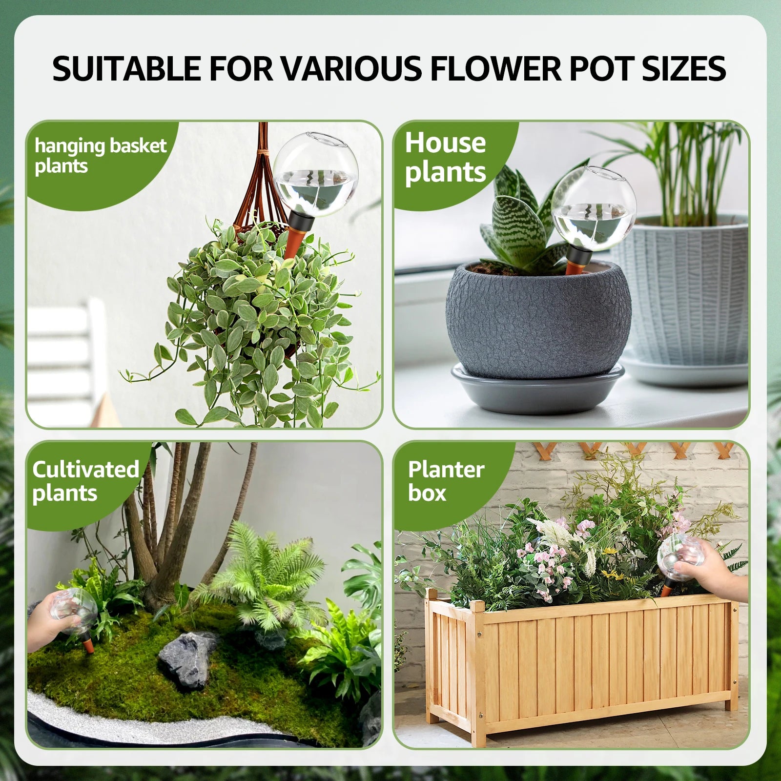 Automatic Self Watering Bulbs for Easy Plant Care - Smarsty